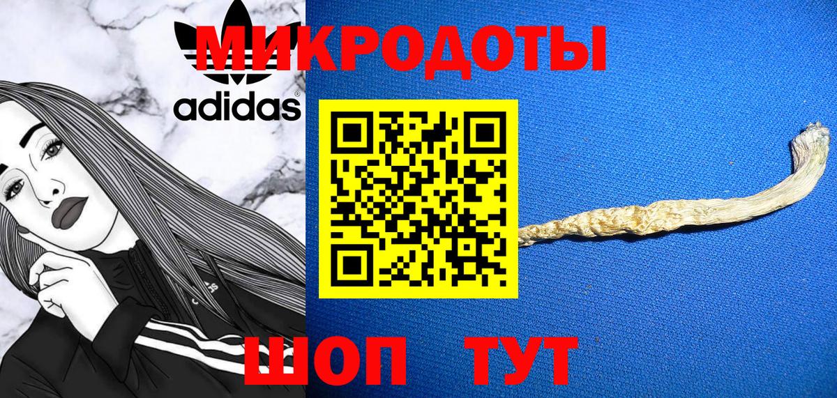 Галлюциногенные грибы мухоморы  Вход с VPN  Гатчина  Галлюциногенные грибы Psilocybe 