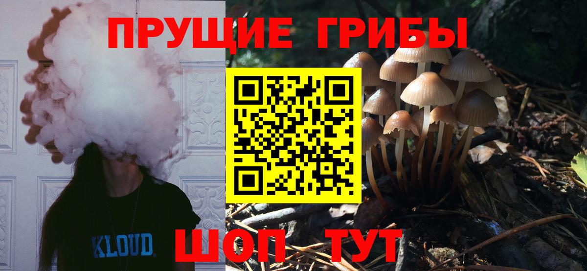 Псилоцибиновые грибы GOLDEN TEACHER Гатчина